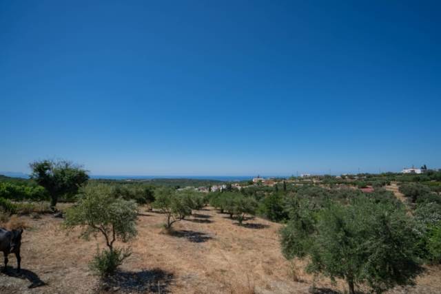 (For Sale) Land Agricultural Land  || Rethymno/Arkadi - 6.897 Sq.m, 120.000€ 