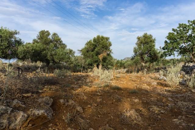 (For Sale) Land Agricultural Land  || Rethymno/Nikiforos Fokas  - 4.135 Sq.m, 150.000€ 