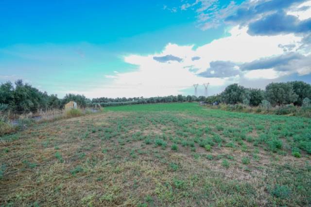 (For Sale) Land Agricultural Land  || Rethymno/Arkadi - 7.250 Sq.m, 215.000€ 