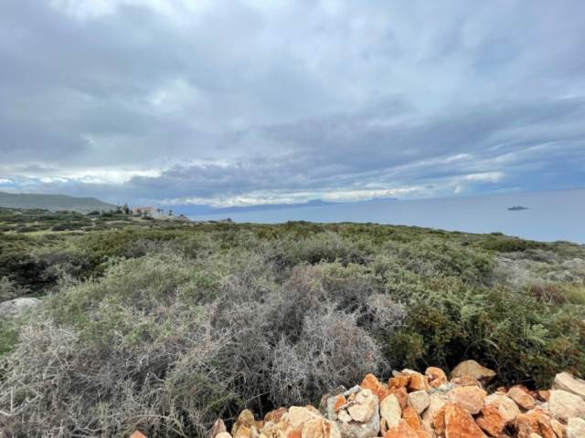 (En vente) Valorisation de la Terre Lopin de terre || Rethymno/Nikiforos Fokas  - 29.000 M2, 1.500.000€ 