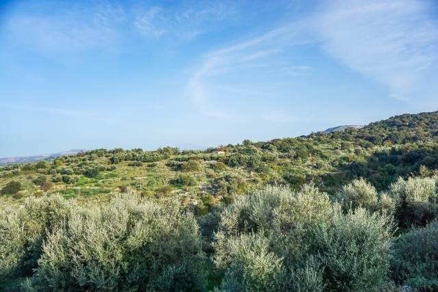 (For Sale) Land Agricultural Land  || Rethymno/Lappa - 36.000 Sq.m, 95.000€ 