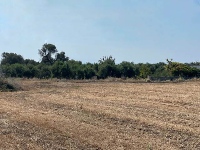 (Verkauf) Nutzbares Land Ackerland  || Rethymno/Arkadi - 10.300 m², 300.000€ 