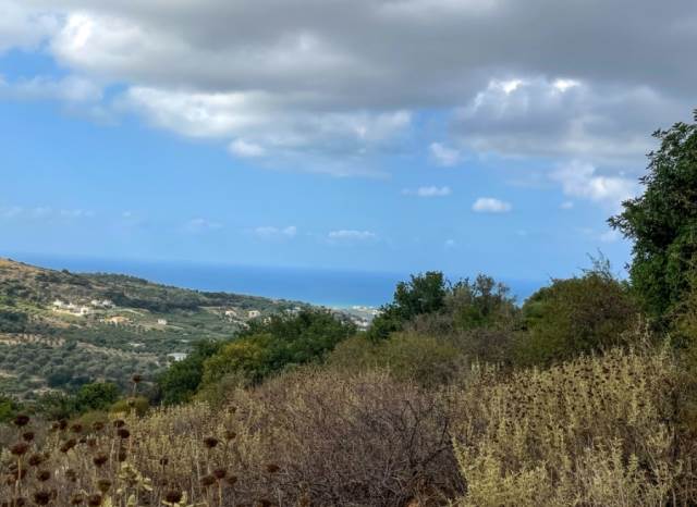 (En vente) Valorisation de la Terre Lopin de terre || Rethymno/Arkadi - 6.705 M2, 75.000€ 