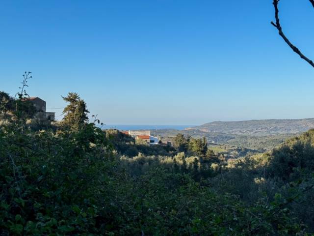 (For Sale) Land Agricultural Land  || Rethymno/Lappa - 2.001 Sq.m, 40.000€ 