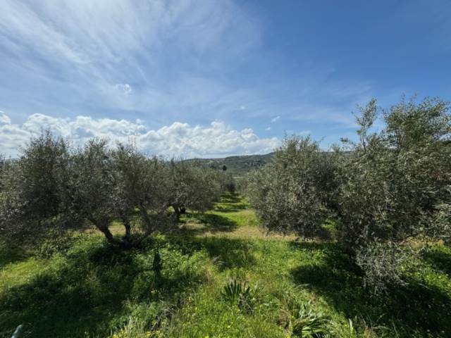 (For Sale) Land Agricultural Land  || Rethymno/Geropotamos - 2.738 Sq.m, 68.000€ 