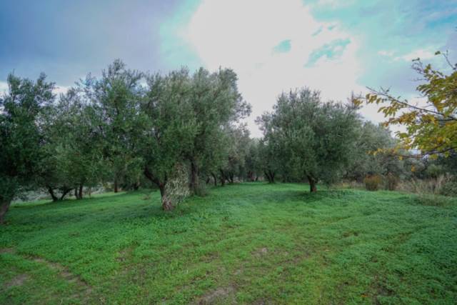 (For Sale) Land Agricultural Land  || Rethymno/Rethymno - 4.182 Sq.m, 170.000€ 