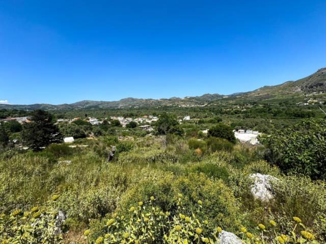 (Verkauf) Nutzbares Land Grundstück || Rethymno/Foinikas - 1.955 m², 75.000€ 