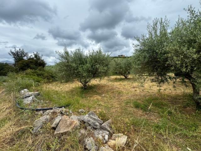 (For Sale) Land Plot || Rethymno/Geropotamos - 5.965 Sq.m, 300.000€ 