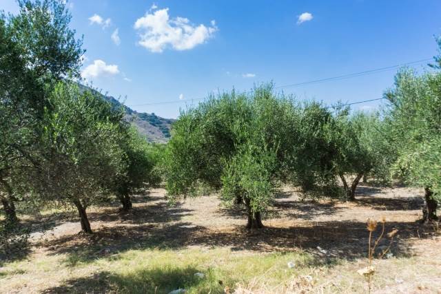 (Προς Πώληση) Αξιοποιήσιμη Γη Οικόπεδο || Ν. Χανίων/Γεωργιούπολη - 1.000 τ.μ, 120.000€ 