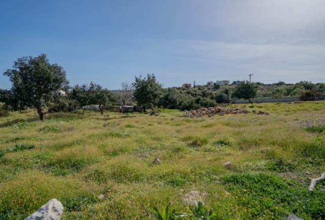 (Verkauf) Nutzbares Land Ackerland  || Rethymno/Nikiforos Fokas  - 3.850 m², 200.000€ 