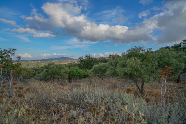 (En vente) Valorisation de la Terre Lopin de terre || Rethymno/Nikiforos Fokas  - 5.300 M2, 170.000€ 