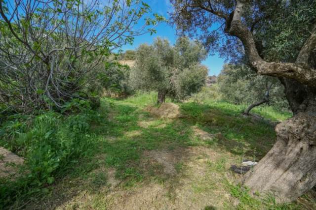 (Προς Πώληση) Αξιοποιήσιμη Γη Οικόπεδο || Ν. Ρεθύμνου/Φοίνικας - 256 τ.μ, 115.000€ 