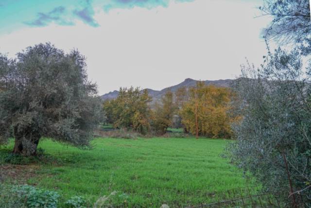 (For Sale) Land Plot || Rethymno/Foinikas - 1.890 Sq.m, 60.000€ 