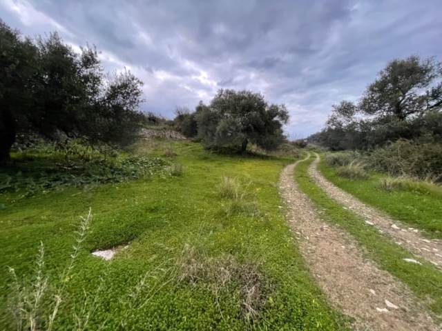 (Προς Πώληση) Αξιοποιήσιμη Γη Οικόπεδο || Ν. Ρεθύμνου/Λάππα - 2.770 τ.μ, 130.000€ 