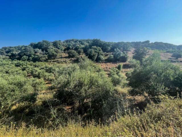(For Sale) Land Plot || Rethymno/Rethymno - 1.000 Sq.m, 22.000€ 