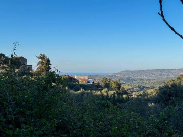 (Προς Πώληση) Αξιοποιήσιμη Γη Αγροτεμάχιο || Ν. Ρεθύμνου/Λάππα - 2.001 τ.μ, 35.000€ 