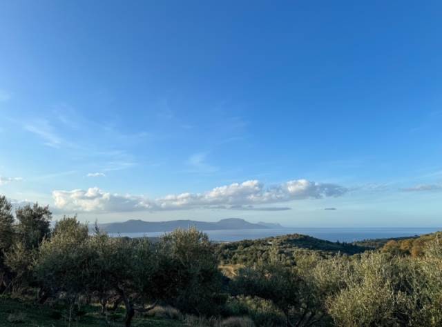 (Προς Πώληση) Αξιοποιήσιμη Γη Οικόπεδο || Ν. Ρεθύμνου/Λάππα - 4.500 τ.μ, 190.000€ 