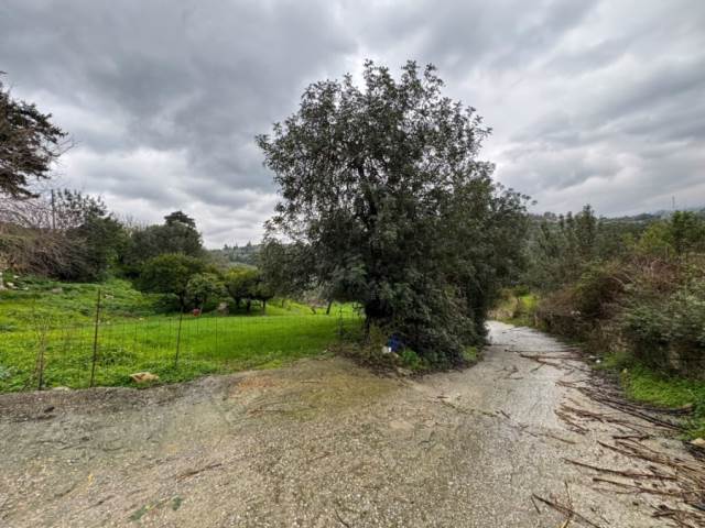 (For Sale) Land Plot || Rethymno/Lappa - 937 Sq.m, 40.000€ 