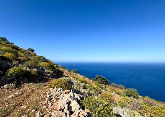 (Προς Πώληση) Αξιοποιήσιμη Γη Αγροτεμάχιο || Ν. Χανίων/Βάμος - 9.500 τ.μ, 390.000€ 