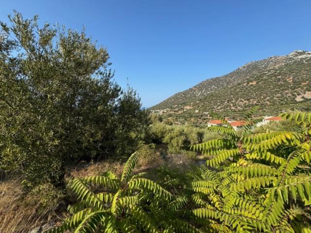 (Προς Πώληση) Αξιοποιήσιμη Γη Οικόπεδο || Ν. Ρεθύμνου/Γεροπόταμος - 4.185 τ.μ, 195.000€ 