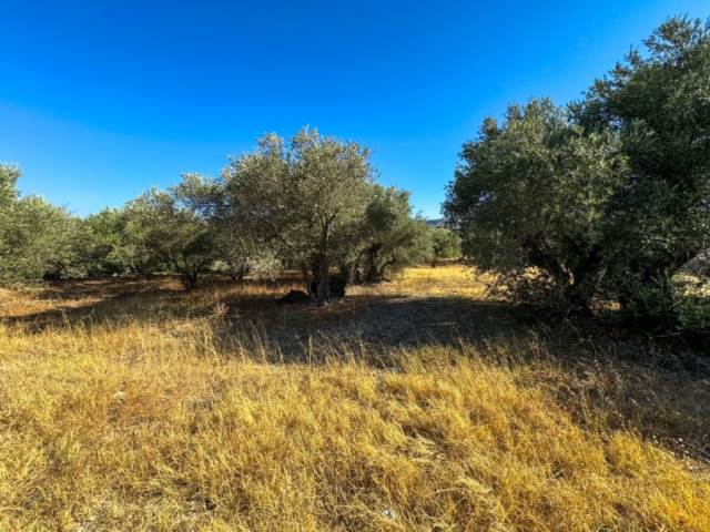 (For Sale) Land Plot || Rethymno/Nikiforos Fokas  - 2.711 Sq.m, 150.000€ 