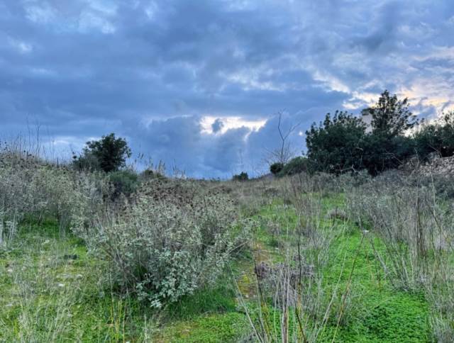 (Προς Πώληση) Αξιοποιήσιμη Γη Οικόπεδο || Ν. Ρεθύμνου/Ρέθυμνο - 500 τ.μ, 35.000€ 