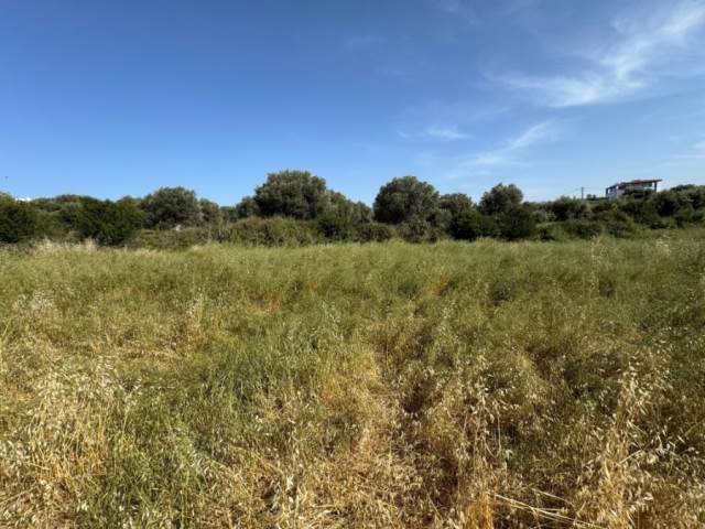 (Προς Πώληση) Αξιοποιήσιμη Γη Οικόπεδο || Ν. Ρεθύμνου/Αρκάδι - 1.150 τ.μ, 140.000€ 