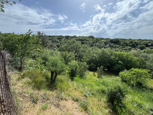 (En vente) Valorisation de la Terre Lopin de terre || Rethymno/Rethymno - 1.600 M2, 20.000€ 
