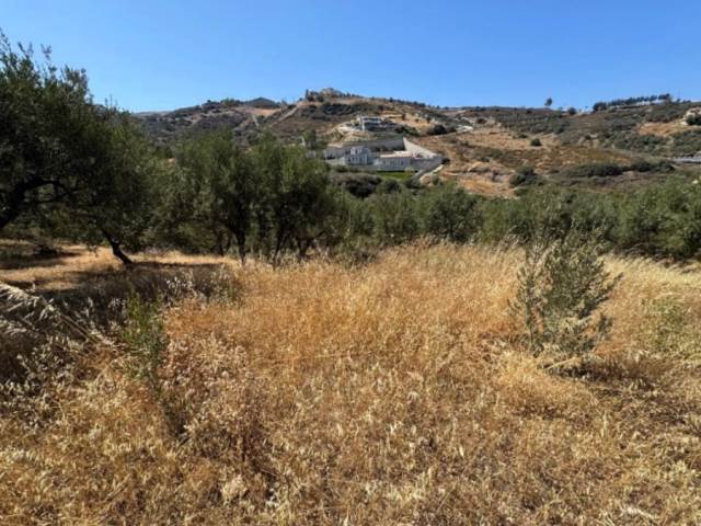 (For Sale) Land Plot || Rethymno/Geropotamos - 1.482 Sq.m, 260.000€ 