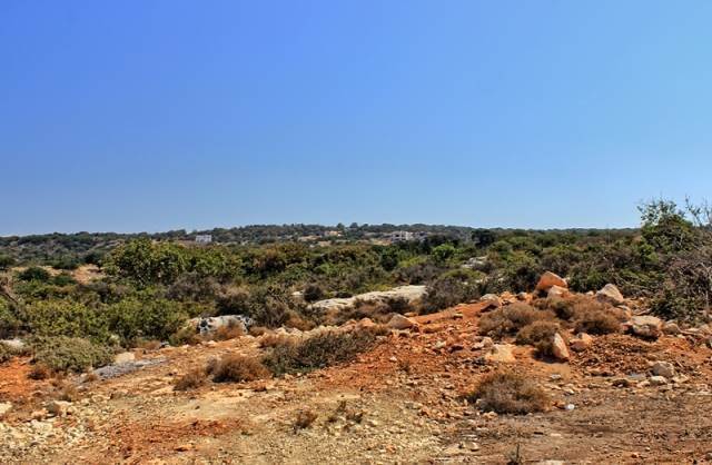 (For Sale) Land Agricultural Land  || Rethymno/Nikiforos Fokas  - 4.313 Sq.m, 200.000€ 