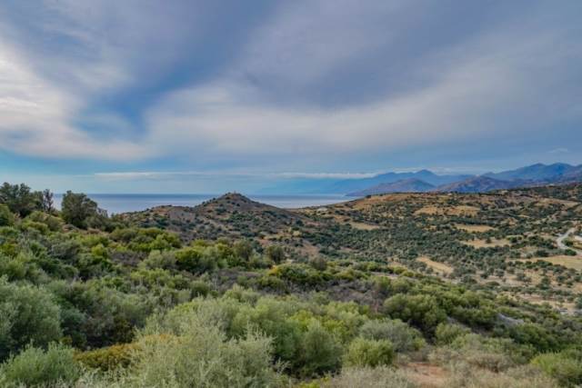 (Verkauf) Nutzbares Land Ackerland  || Rethymno/Lampi - 2.600 m², 70.000€ 