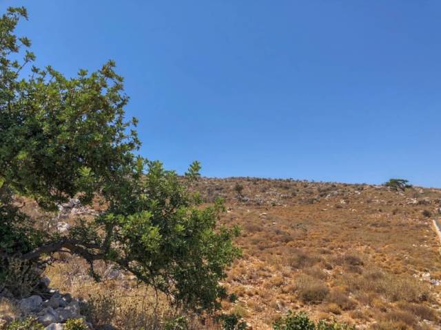 (En vente) Valorisation de la Terre Lopin de terre || Rethymno/Nikiforos Fokas  - 5.123 M2, 150.000€ 